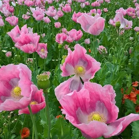 Apartmán Werraglueck Eschwege