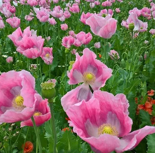 Apartamento Werraglück Eschwege